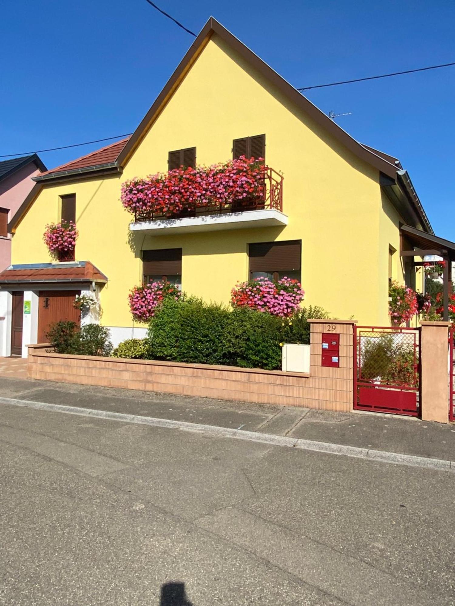 Alsace Clim Pres Colmar Jardin Balcon Parking Garage Velos, Motos Oberhergheim Dış mekan fotoğraf